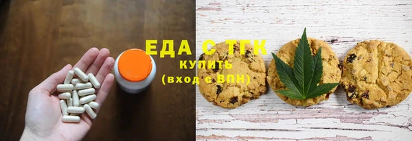 индика Осинники