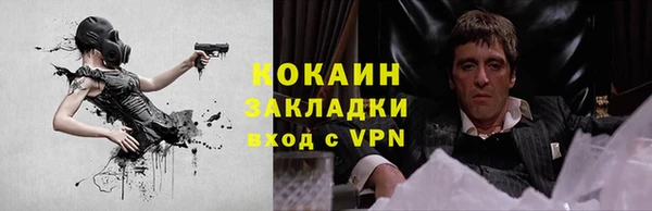дживик Новозыбков