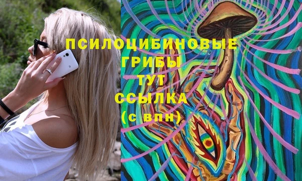 а пвп мука Няндома