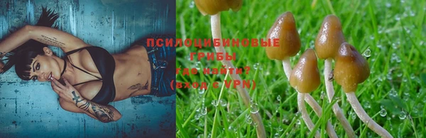 spice Нягань
