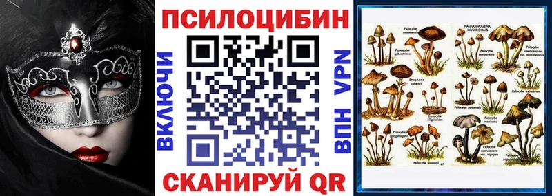 hydra ССЫЛКА  Стрежевой  Галлюциногенные грибы Psilocybe  наркотики 