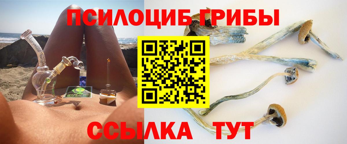 Галлюциногенные грибы MAGIC MUSHROOMS  Стрежевой  наркота  Псилоцибиновые грибы мухоморы 