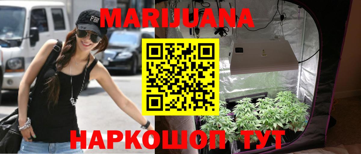 Канабис Ganja  Стрежевой  Бошки Шишки планчик 